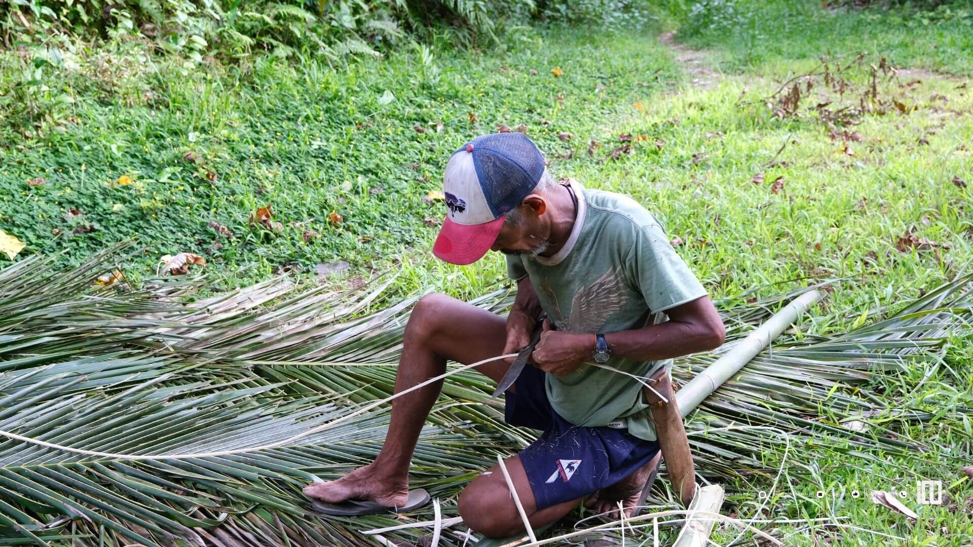 Buri Cultivation (8)